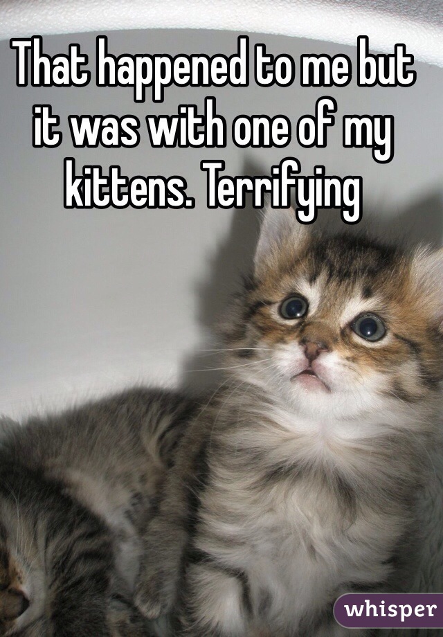 That happened to me but it was with one of my kittens. Terrifying 