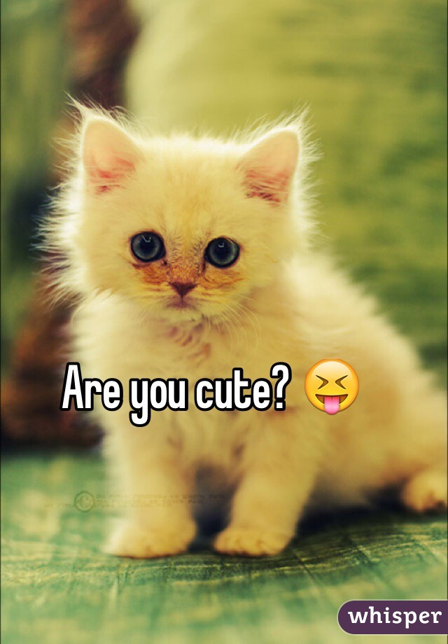 Are you cute? 😝