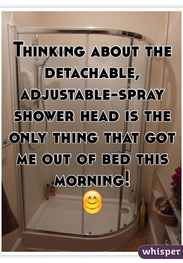 Thinking about the detachable, adjustable-spray shower head is the only thing that got me out of bed this morning!
😊