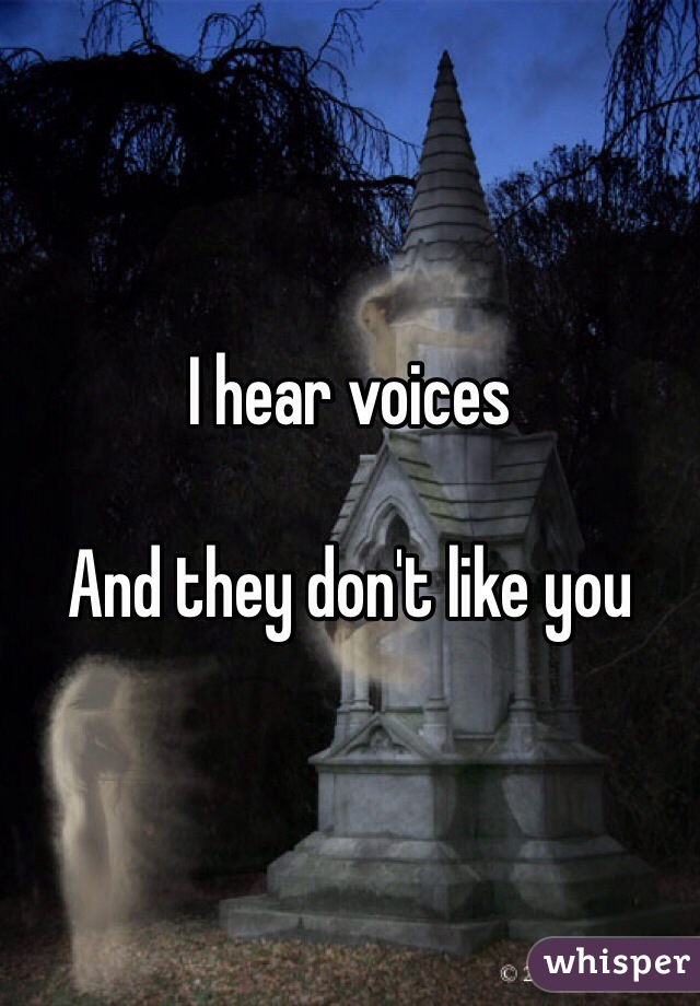 I hear voices 

And they don't like you 