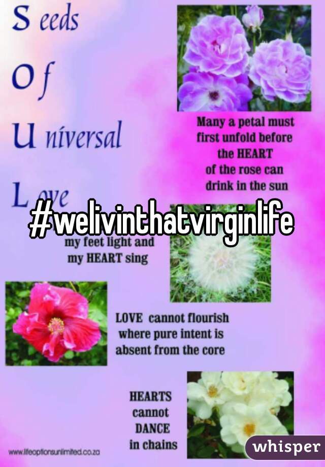 #welivinthatvirginlife