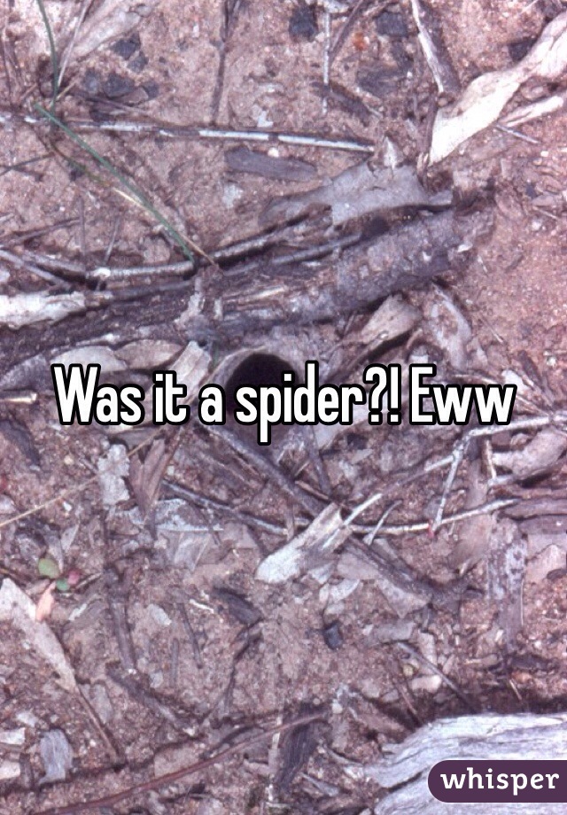 Was it a spider?! Eww