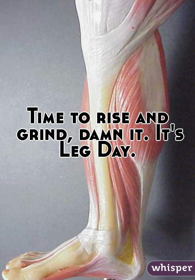 Time to rise and grind, damn it. It's Leg Day. 