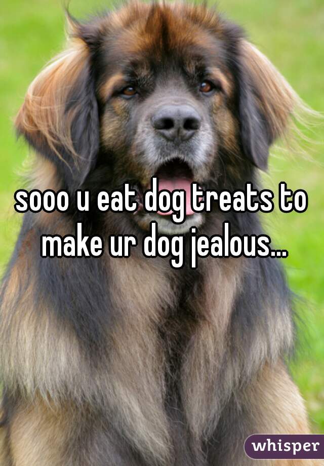 sooo u eat dog treats to make ur dog jealous...