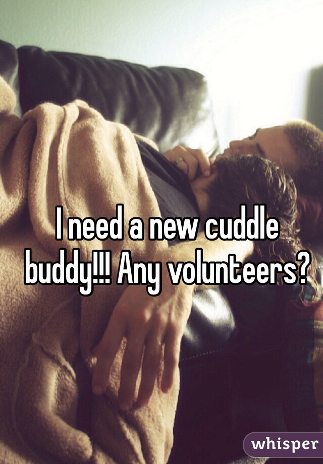 I need a new cuddle buddy!!! Any volunteers?