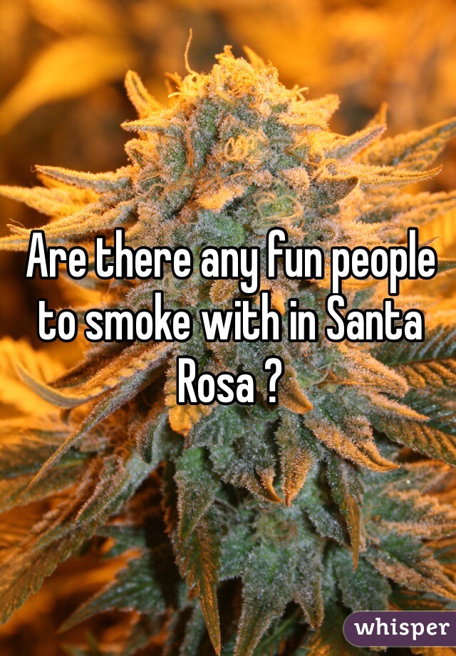 Are there any fun people to smoke with in Santa Rosa ? 