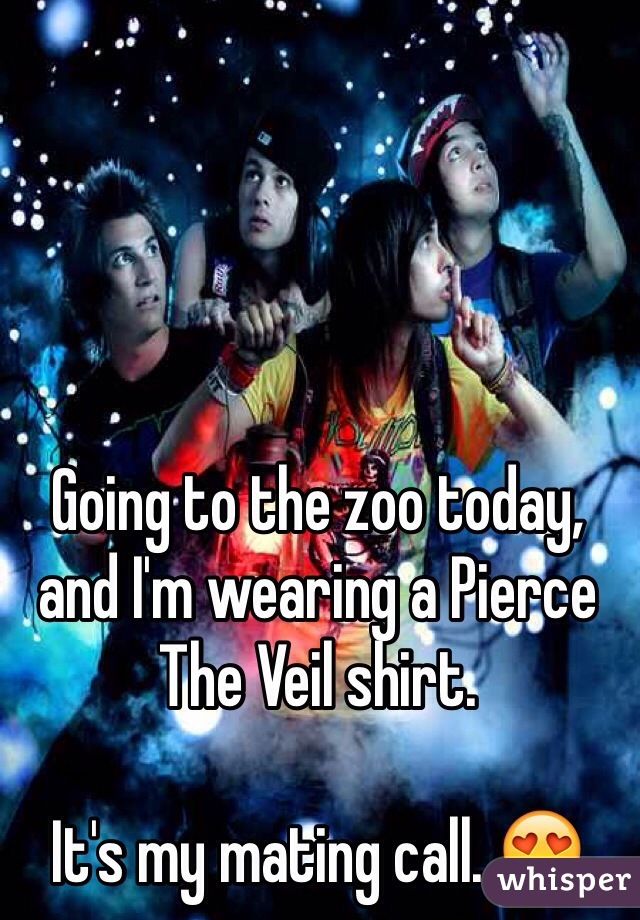 Going to the zoo today, and I'm wearing a Pierce The Veil shirt. 

It's my mating call. 😍
