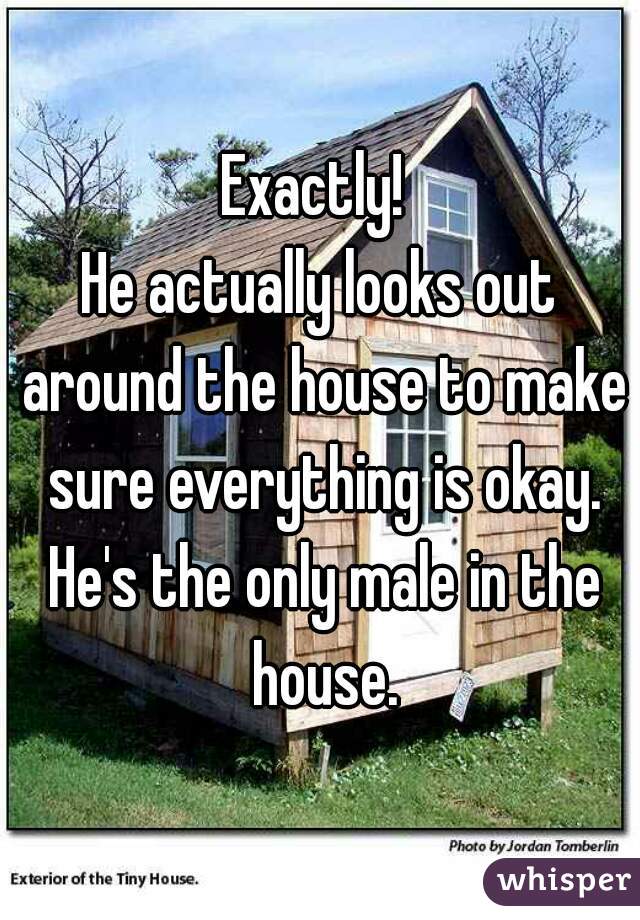 Exactly! 
He actually looks out around the house to make sure everything is okay. He's the only male in the house.