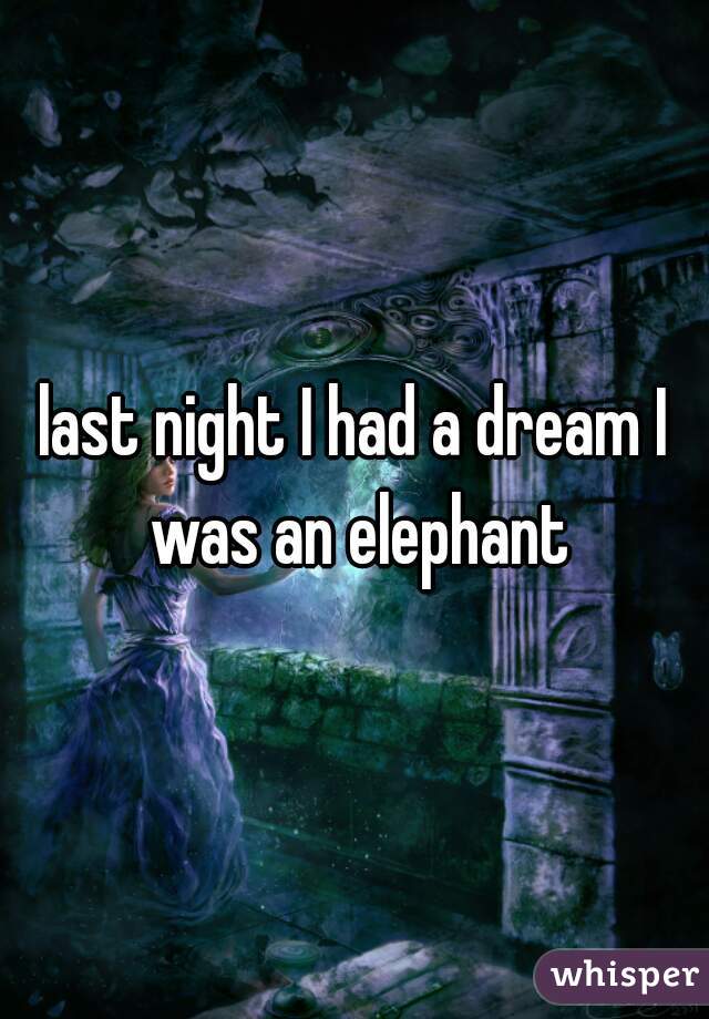 last night I had a dream I was an elephant