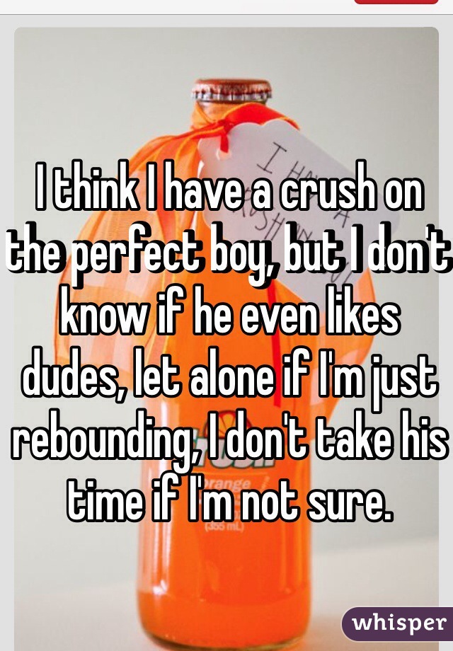 I think I have a crush on the perfect boy, but I don't know if he even likes dudes, let alone if I'm just rebounding, I don't take his time if I'm not sure. 