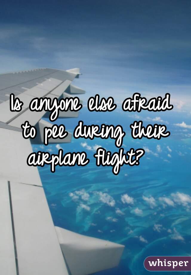 Is anyone else afraid 
to pee during their
 airplane flight?   