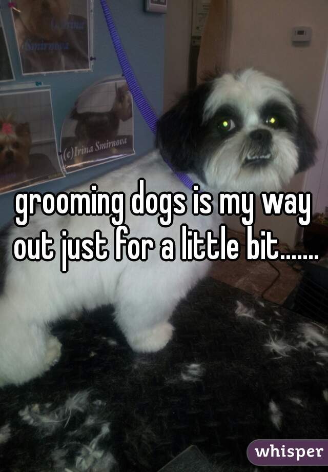 grooming dogs is my way out just for a little bit.......