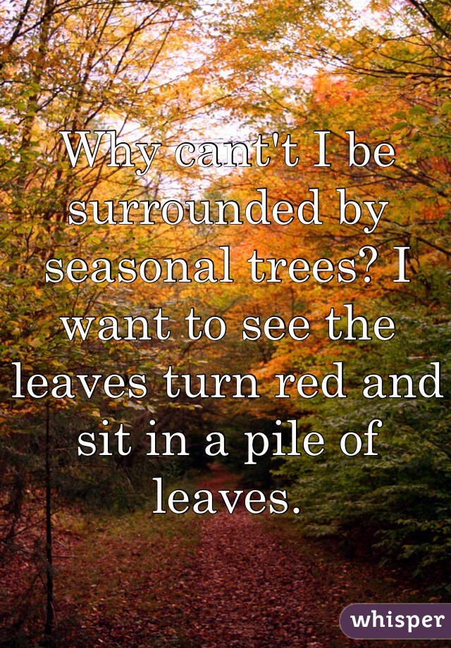Why cant't I be surrounded by seasonal trees? I want to see the leaves turn red and sit in a pile of leaves.