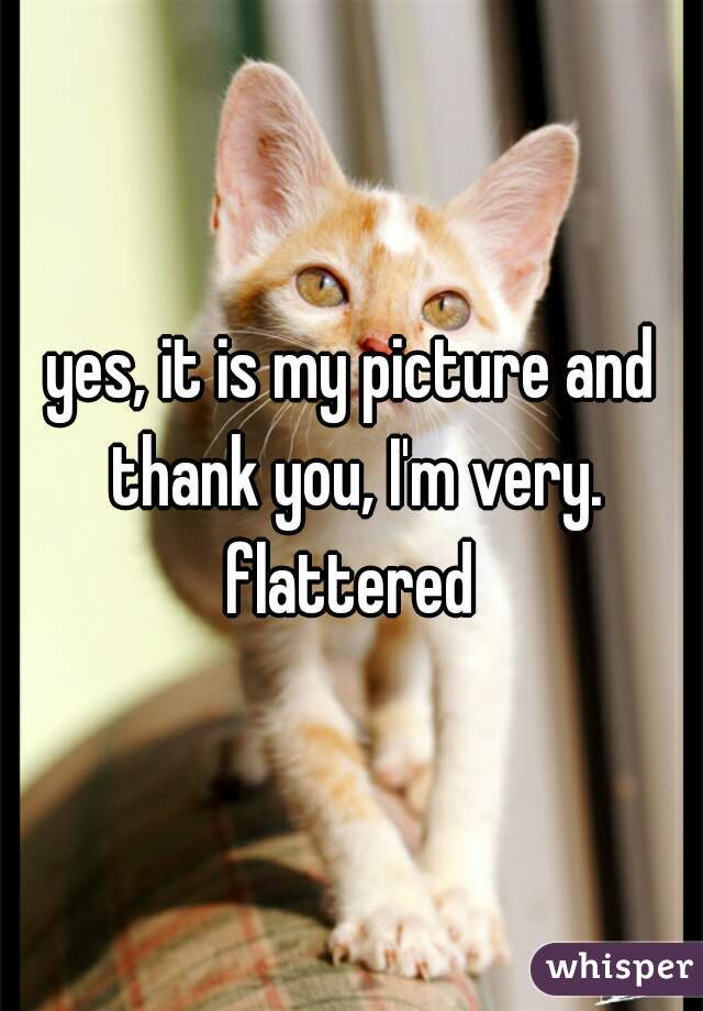 yes, it is my picture and thank you, I'm very. flattered 