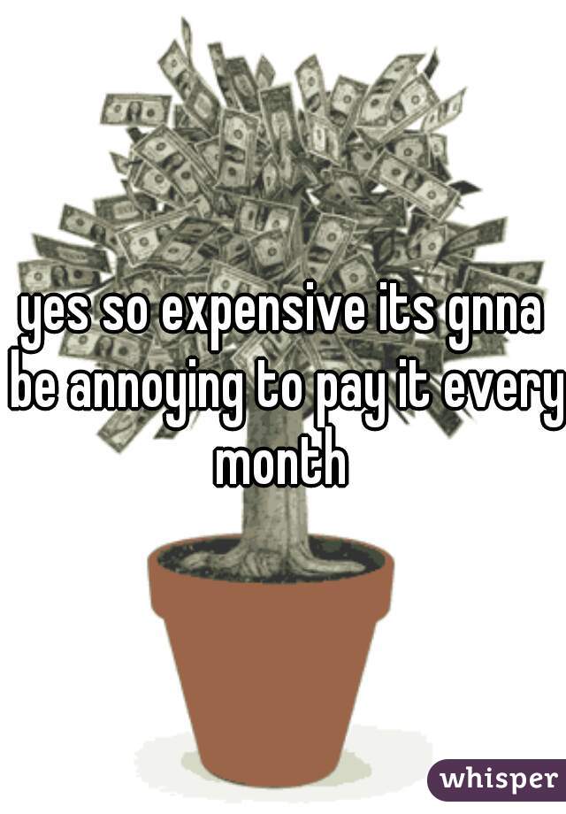 yes so expensive its gnna be annoying to pay it every month 