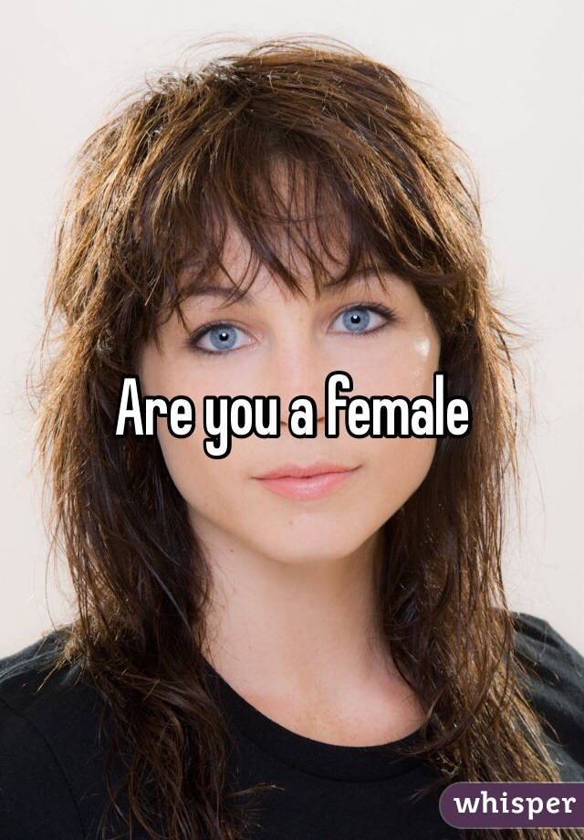 Are you a female 