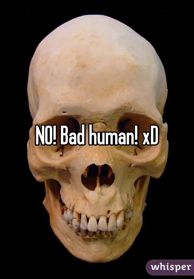 NO! Bad human! xD