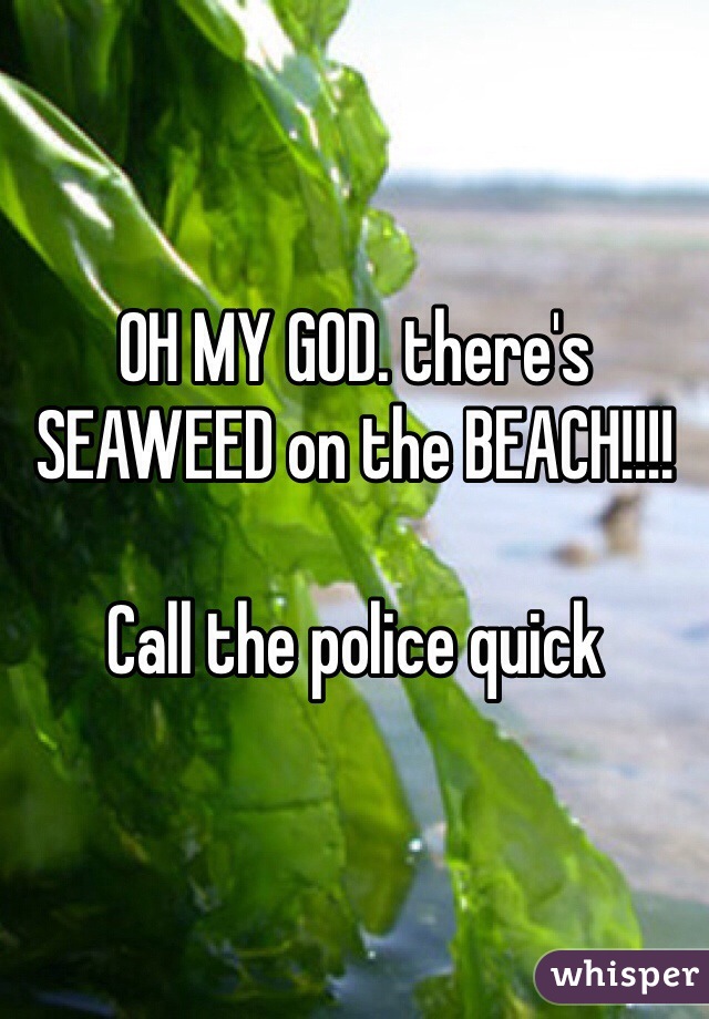 OH MY GOD. there's SEAWEED on the BEACH!!!!

Call the police quick 