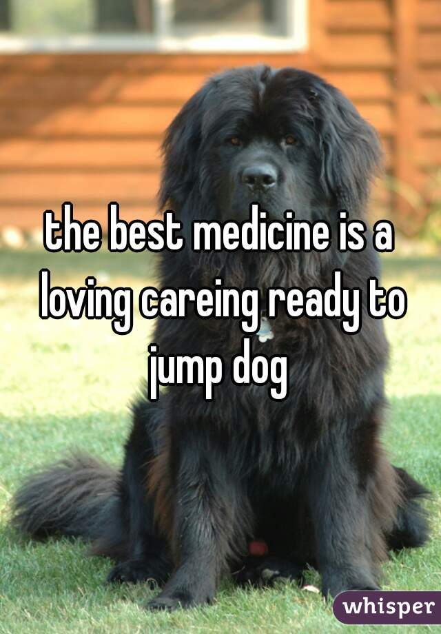 the best medicine is a loving careing ready to jump dog 