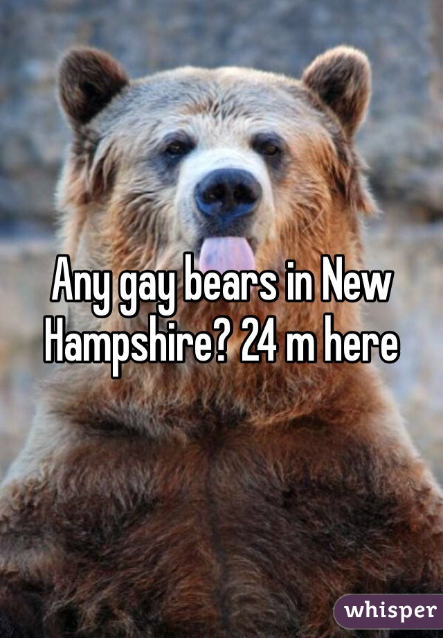 Any gay bears in New Hampshire? 24 m here 