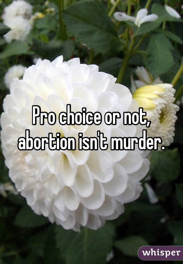 Pro choice or not, abortion isn't murder.
