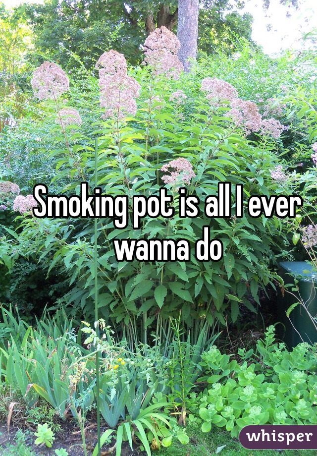 Smoking pot is all I ever wanna do 