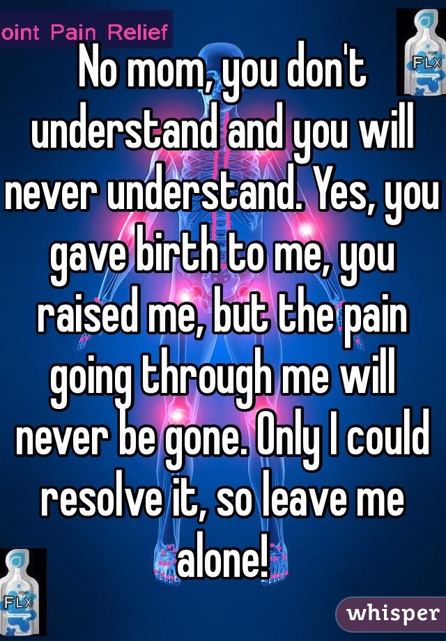 No mom, you don't understand and you will never understand. Yes, you gave birth to me, you raised me, but the pain going through me will never be gone. Only I could resolve it, so leave me alone! 