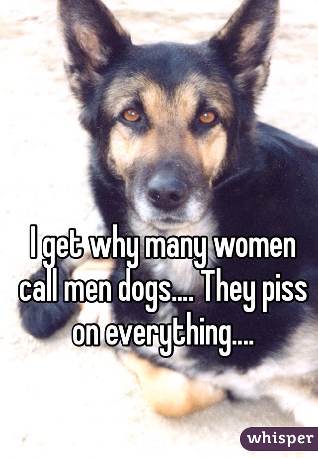 I get why many women call men dogs.... They piss on everything.... 