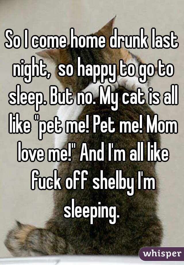 So I come home drunk last night,  so happy to go to sleep. But no. My cat is all like "pet me! Pet me! Mom love me!" And I'm all like fuck off shelby I'm sleeping. 