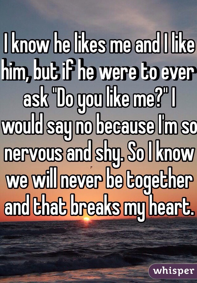 I know he likes me and I like him, but if he were to ever ask "Do you like me?" I would say no because I'm so nervous and shy. So I know we will never be together and that breaks my heart.