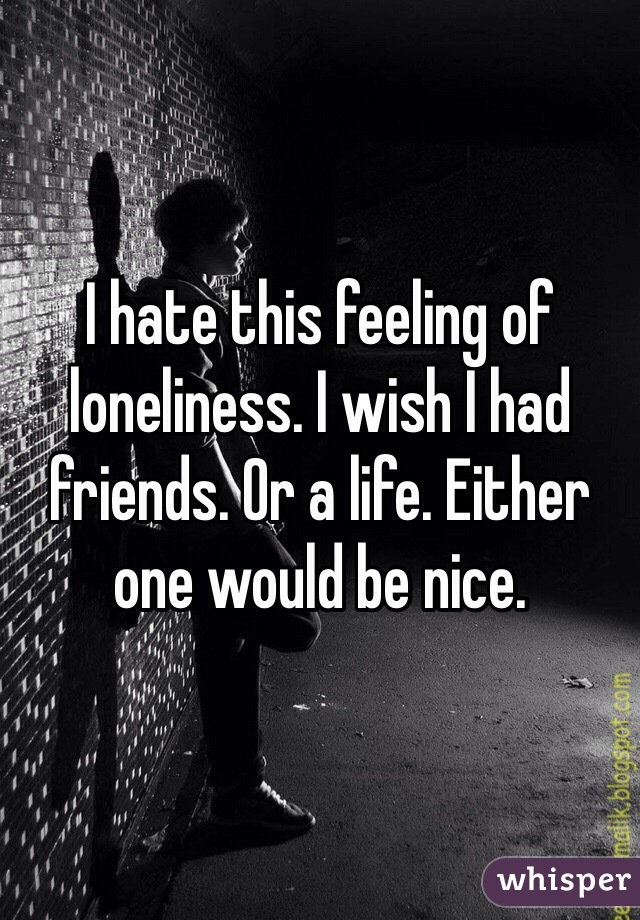 I hate this feeling of loneliness. I wish I had friends. Or a life. Either one would be nice. 