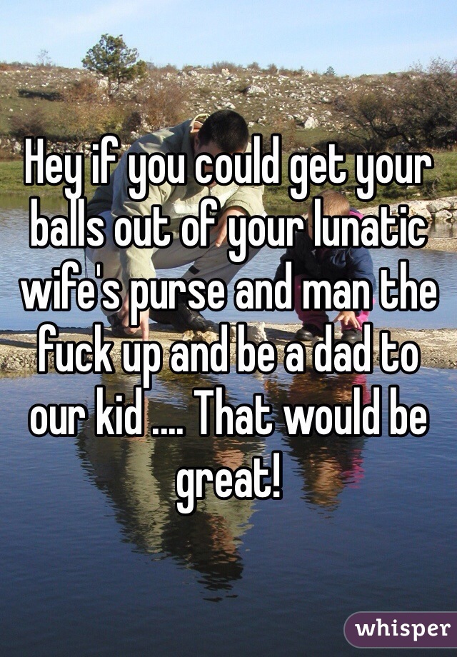 Hey if you could get your balls out of your lunatic wife's purse and man the fuck up and be a dad to our kid .... That would be great! 