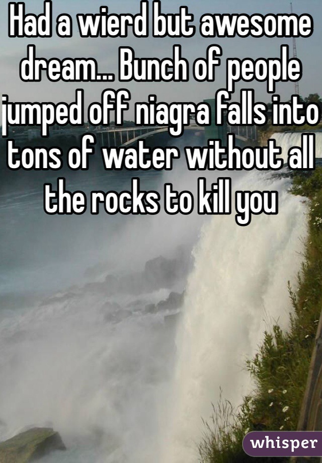 Had a wierd but awesome dream... Bunch of people jumped off niagra falls into tons of water without all the rocks to kill you 