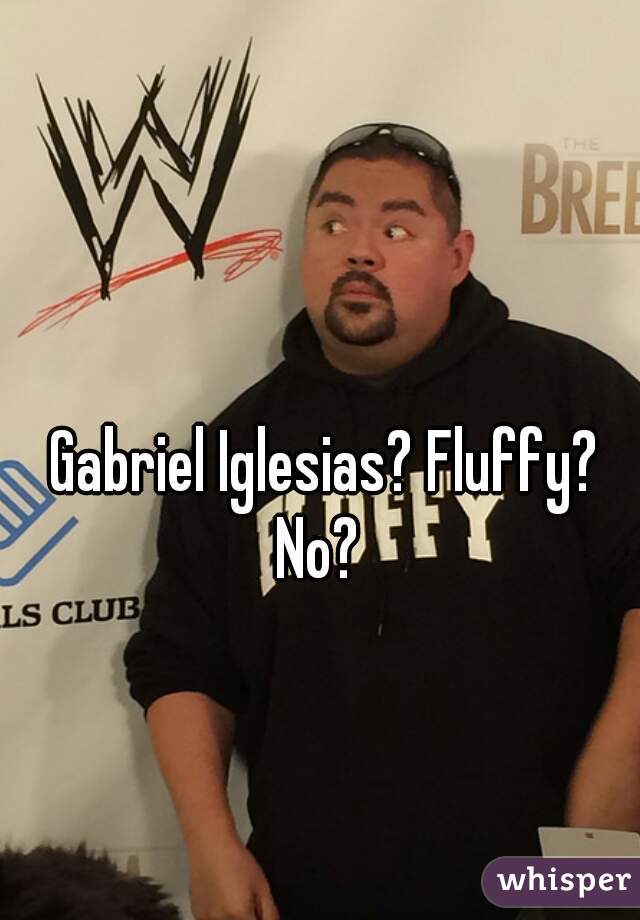 Gabriel Iglesias? Fluffy? No?  