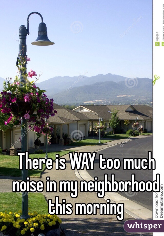 There is WAY too much noise in my neighborhood this morning