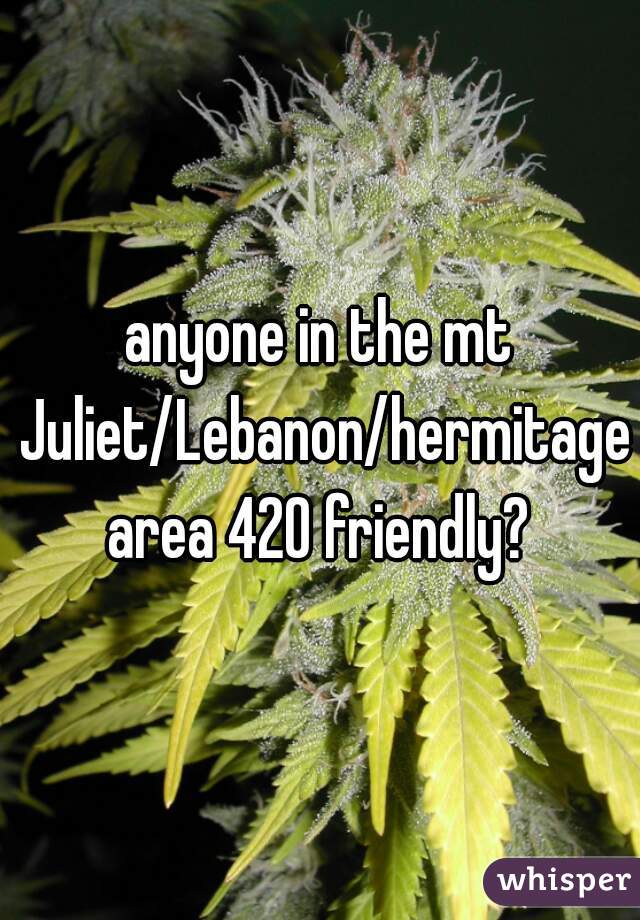 anyone in the mt Juliet/Lebanon/hermitage area 420 friendly? 