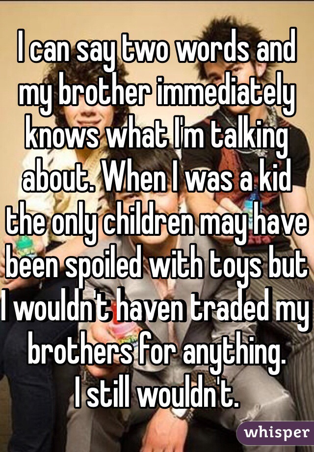 I can say two words and my brother immediately knows what I'm talking about. When I was a kid the only children may have been spoiled with toys but I wouldn't haven traded my brothers for anything.
I still wouldn't. 