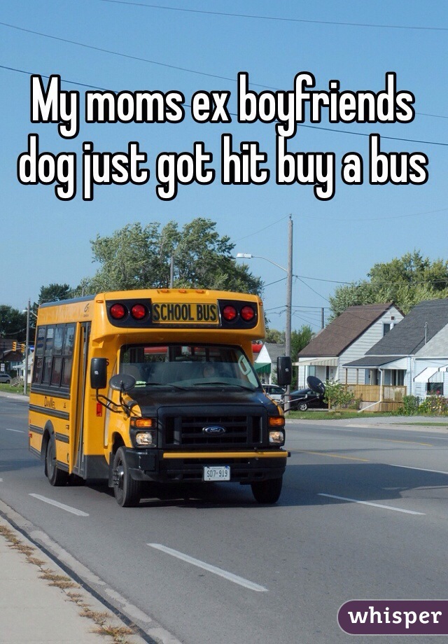 My moms ex boyfriends dog just got hit buy a bus 
