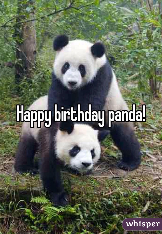 Happy birthday panda!
