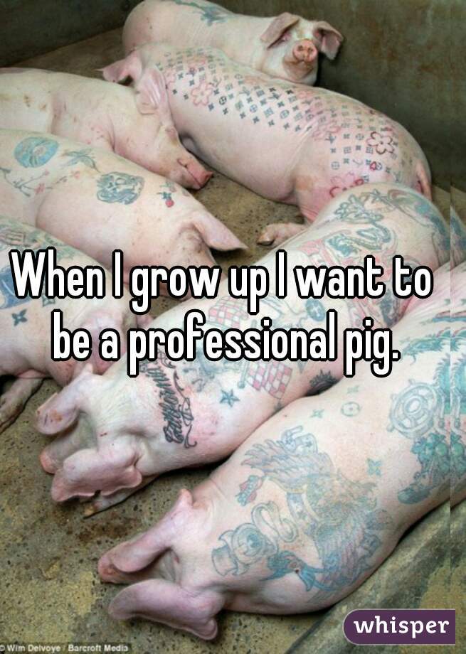 When I grow up I want to be a professional pig.