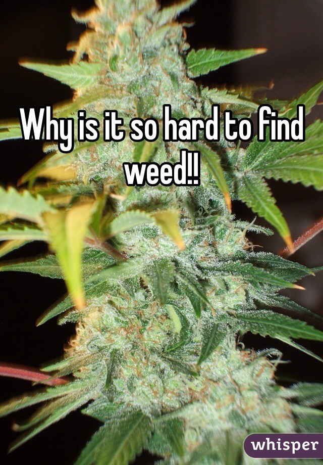 Why is it so hard to find weed!!
