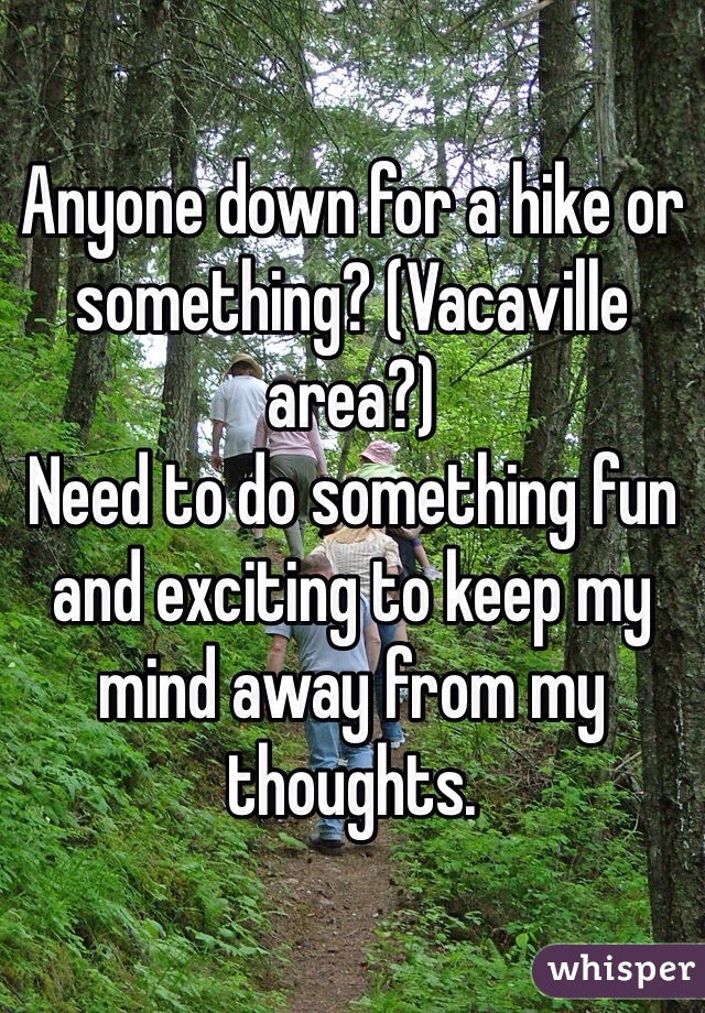 Anyone down for a hike or something? (Vacaville area?)
Need to do something fun and exciting to keep my mind away from my thoughts. 