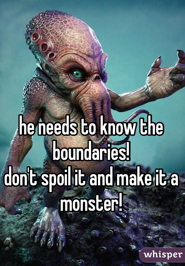 he needs to know the boundaries! 
don't spoil it and make it a monster!