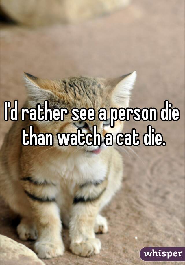 I'd rather see a person die than watch a cat die.