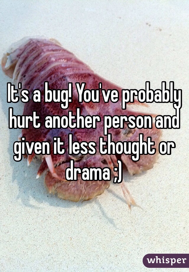 It's a bug! You've probably hurt another person and given it less thought or drama ;)
