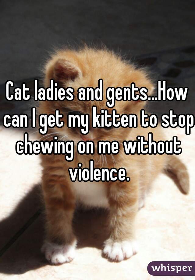 Cat ladies and gents...How can I get my kitten to stop chewing on me without violence.