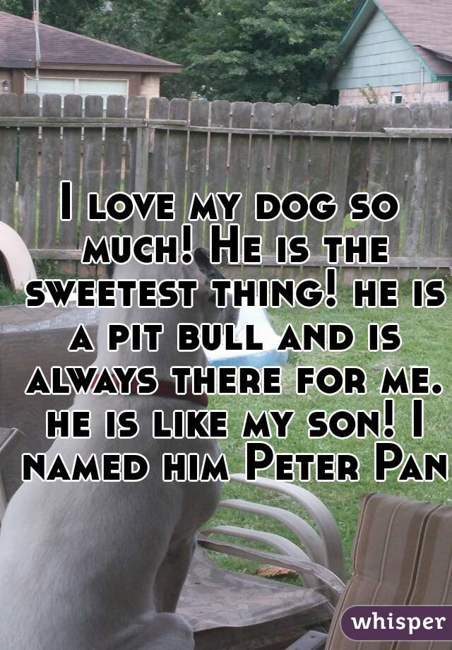 I love my dog so much! He is the sweetest thing! he is a pit bull and is always there for me. he is like my son! I named him Peter Pan   