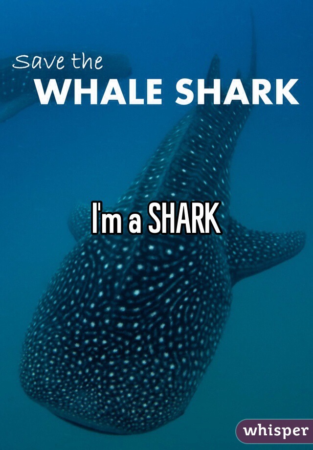 I'm a SHARK