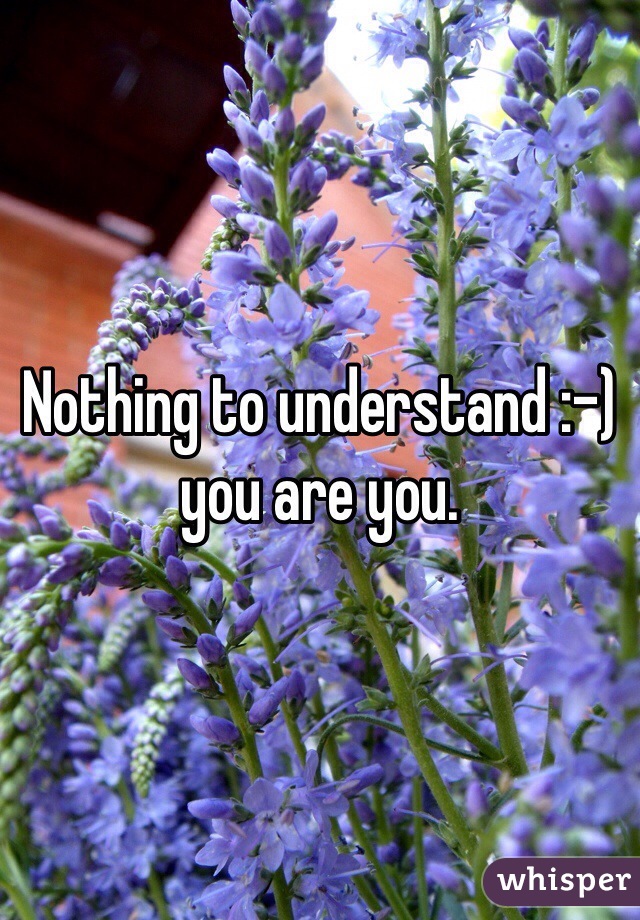 Nothing to understand :-) you are you.