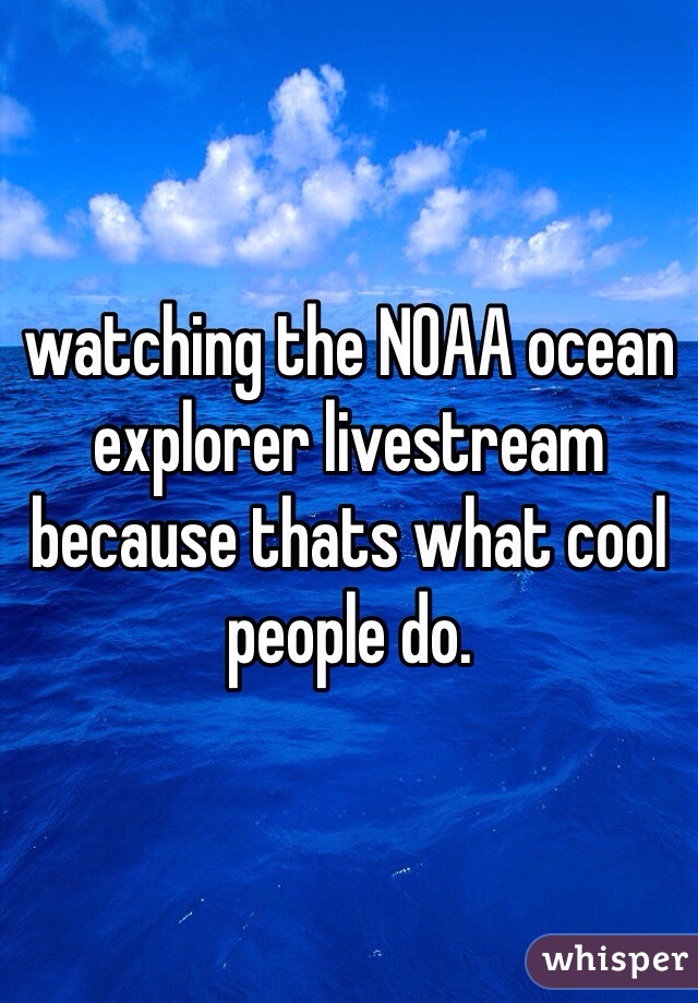 watching the NOAA ocean explorer livestream because thats what cool people do.